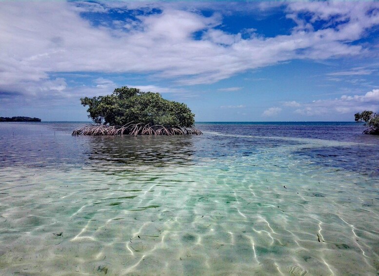 A clear tropical beach with shallow water, a small island with mangrove trees, and a distant landmass. 2