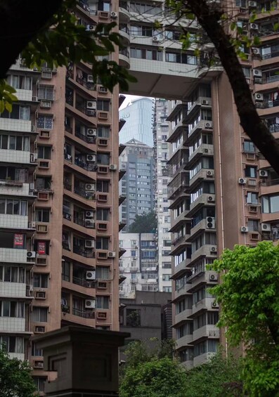 A multi-story residential building with balconies, surrounded by trees. 4