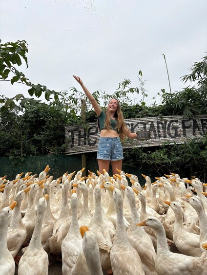A person standing in front of a flock of geese with a sign in the background. 5