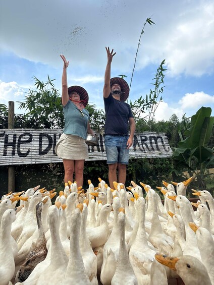 Two people standing among white geese with a bamboo fence and a sign in the background. 1