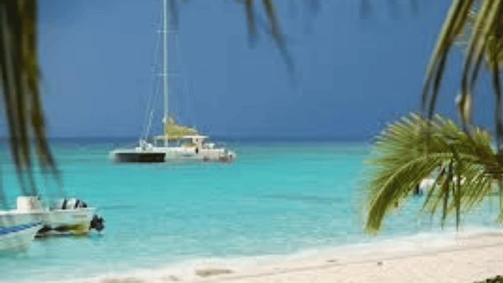A beach with a sailboat anchored in turquoise water, palm trees, and a clear sky. 3