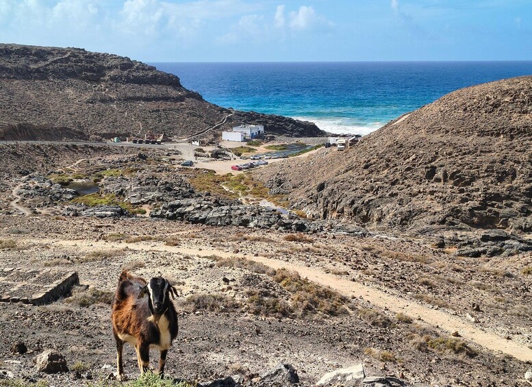 Picture 7 for Activity Private Tour with Pickup in Caleta de Fuste 2
