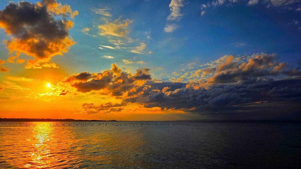 A sunset over a calm sea with birds flying, and a silhouette of a distant landmass. 2
