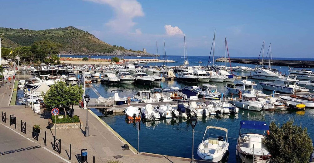 A marina with numerous boats docked, a clear sky, and a hill in the background. 3