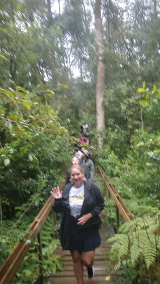A person walking on a wooden bridge surrounded by dense green foliage. 1