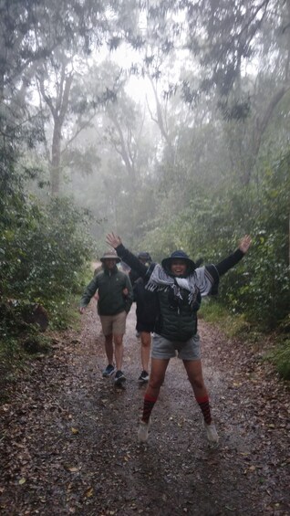 Three people walking on a forest path with trees on both sides. 5