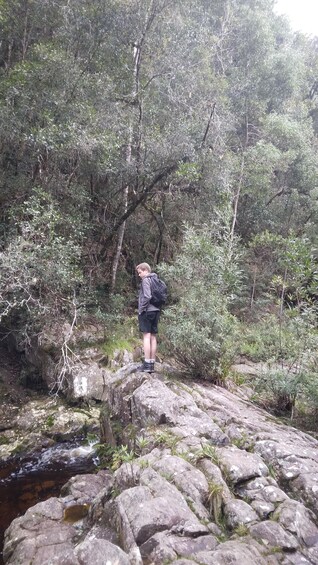 A person standing on rocks by a stream in a forested area. 3