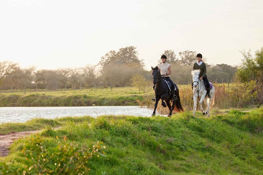 Two people riding horses along a grassy path beside a body of water. 1