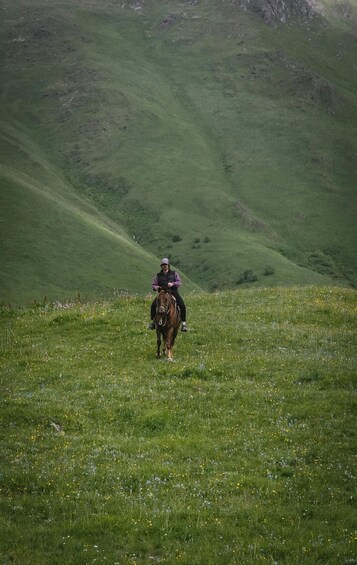 A person riding a horse on a grassy hillside. 2
