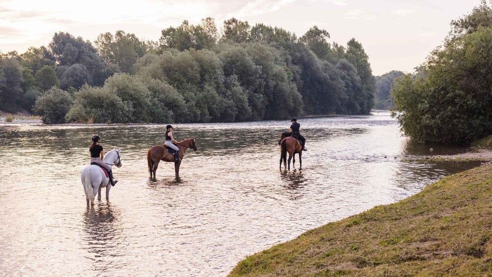 Three people riding horses on a riverbank. 3