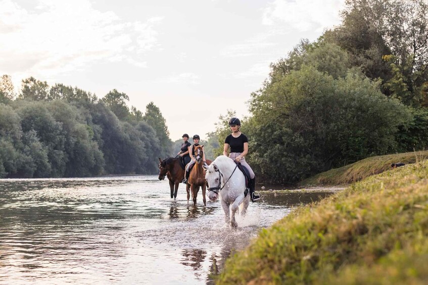A group of people riding horses along a riverbank. 4