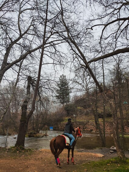 A person riding a horse along a river path surrounded by trees. 3