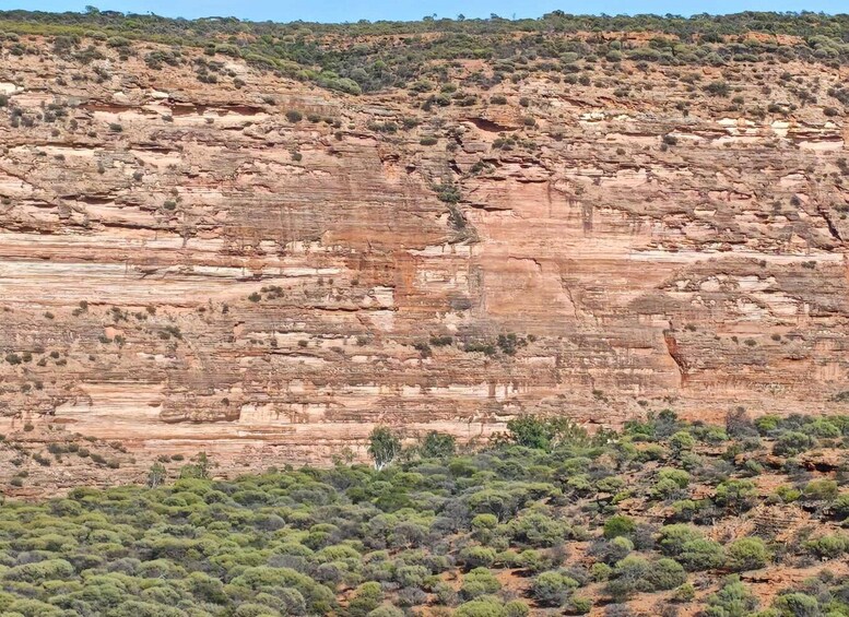 A rugged cliff with layered rock formations and sparse desert vegetation. 1