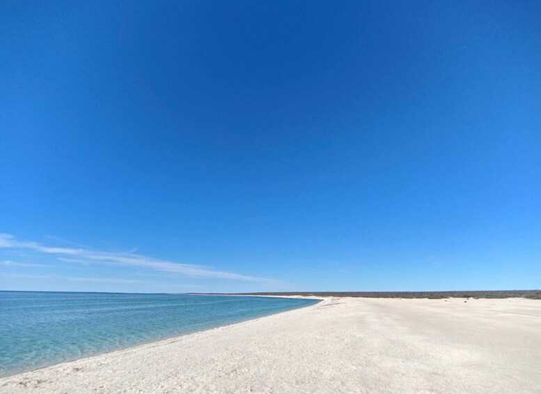 A clear blue sky, a sandy beach, and calm ocean water. 5