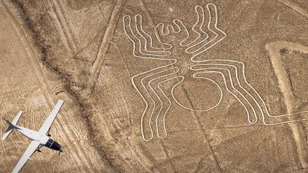A large, intricate ground drawing resembling a spider in a desert landscape. 5