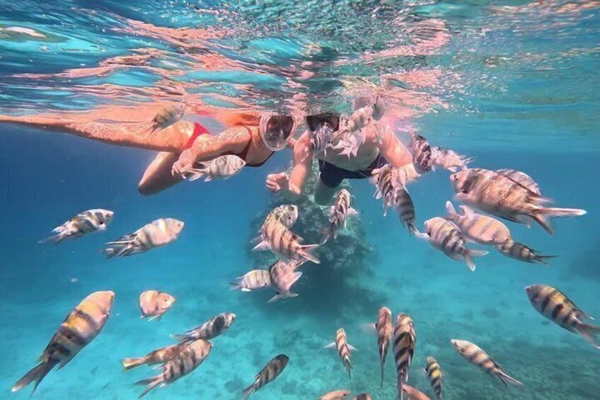 VIP Yacht Experience to Ras Mohamed & White Island from Sharm 3