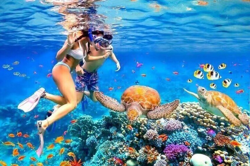 Sharm White Island Yacht Snorkeling and Diving Tour 3