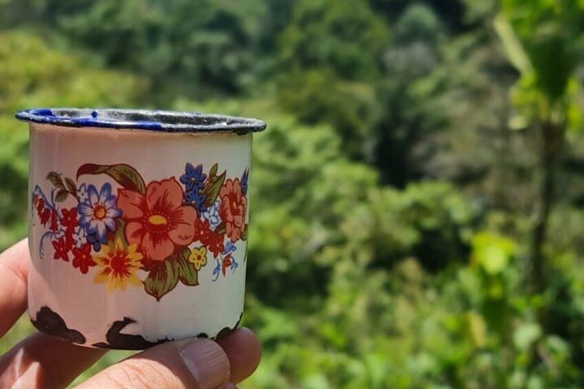 Tour coffee cultural landscape 3