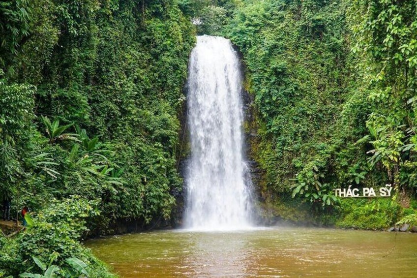 A waterfall surrounded by dense green foliage. 3