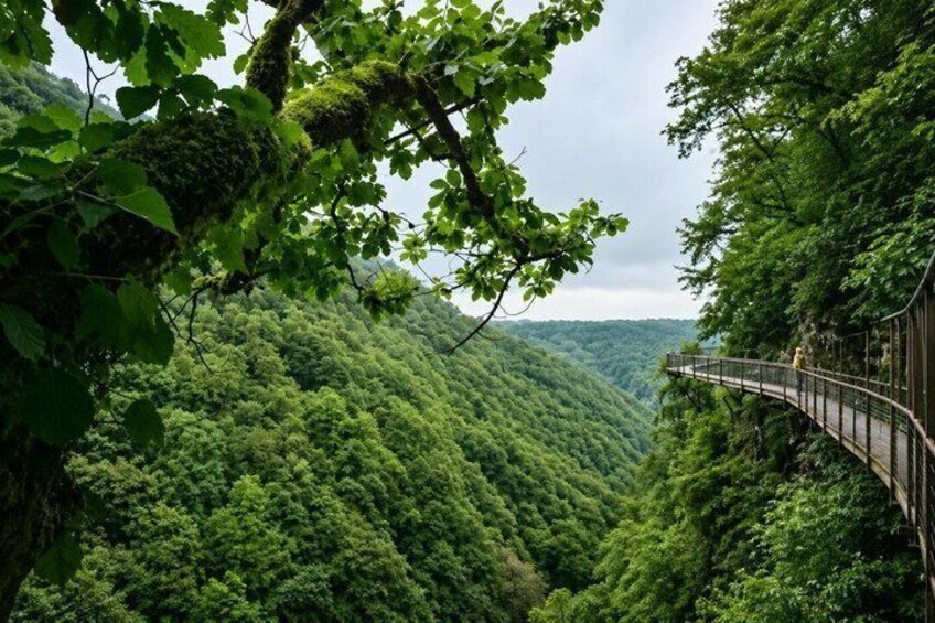 A forested valley with a wooden bridge. 5