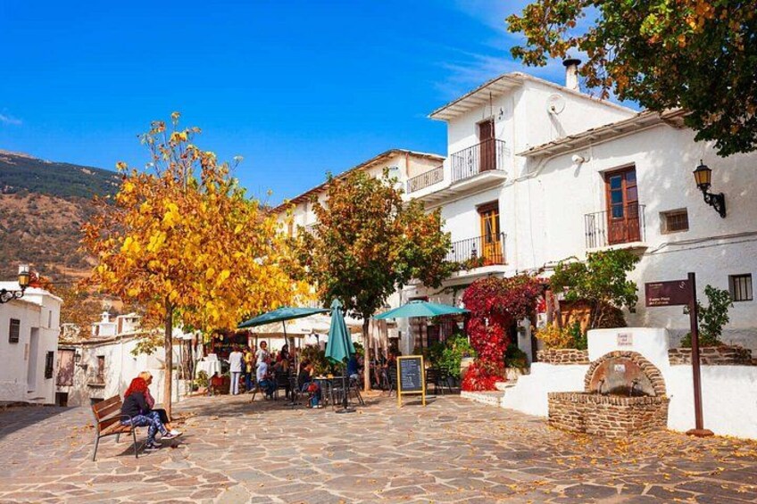 A cobblestone square with white buildings, a bench, and a tree with yellow leaves. 3
