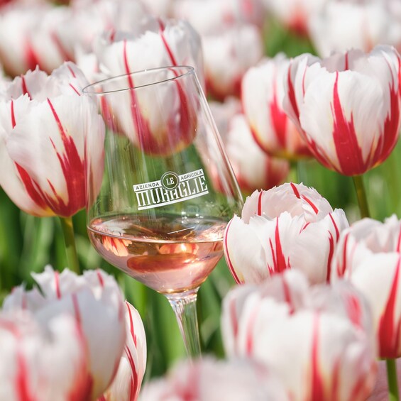 Picture 6 for Activity Le Muraglie: the essence of Garda. Authentic wine tour & tasting 5