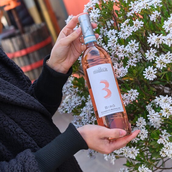 Picture 8 for Activity Le Muraglie: the essence of Garda. Authentic wine tour & tasting 4