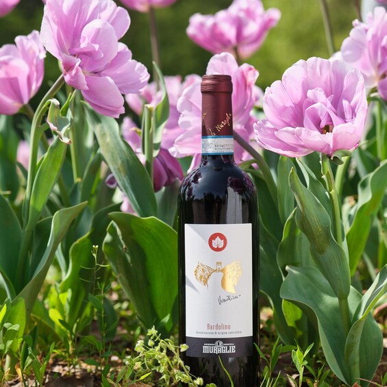 Le Muraglie: the essence of Garda. Authentic wine tour & tasting 1