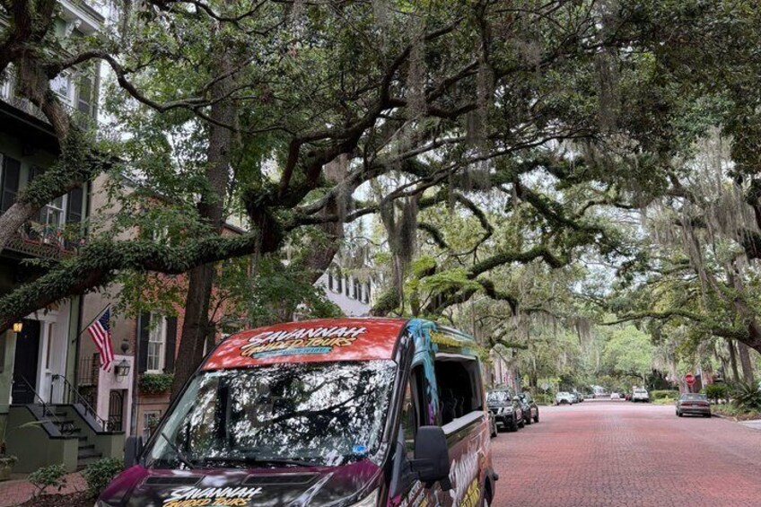 A red tour bus with 'Shanghaifire Tours' on the front, parked on a tree-lined street with historic buildings. 4