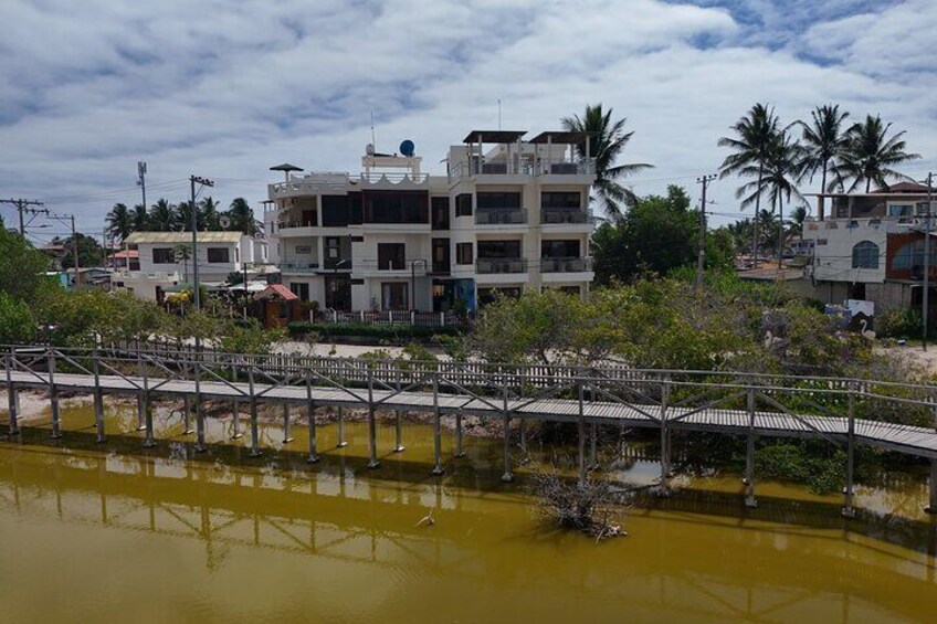 A bridge over a yellowish water body, surrounded by buildings and palm trees. 4