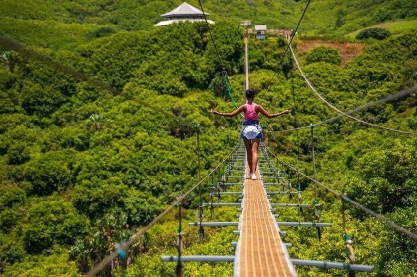 A person walking on a suspension bridge over a lush green forest. 3