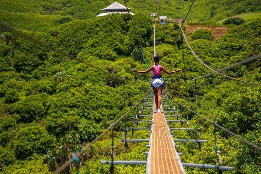 A person walking on a suspended bridge over a lush green forest. 3
