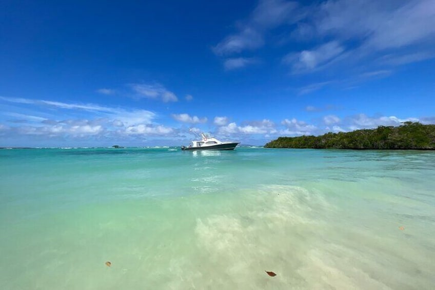 A boat on turquoise water with a clear sky and a forested island in the background. 4