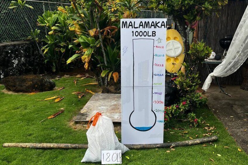 Malama Kai Adventure Snorkel and Reef Clean Up 4