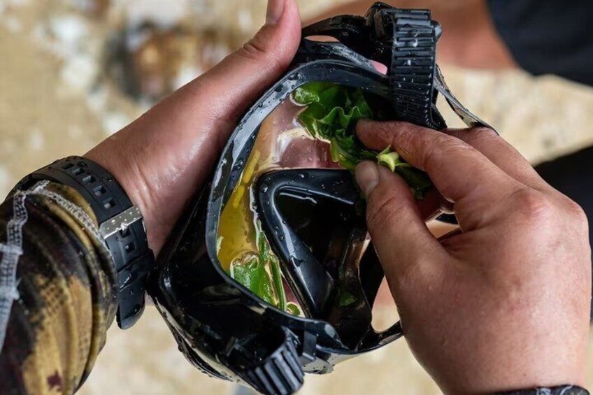 Hands holding a camera with a lens cap on, and a person wearing a watch. 1