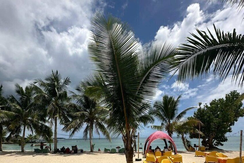 A beach with palm trees, a pink canopy, and yellow chairs. 5