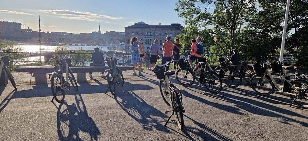 Picture 5 for Activity Stockholm: E-Bike City Tour 3