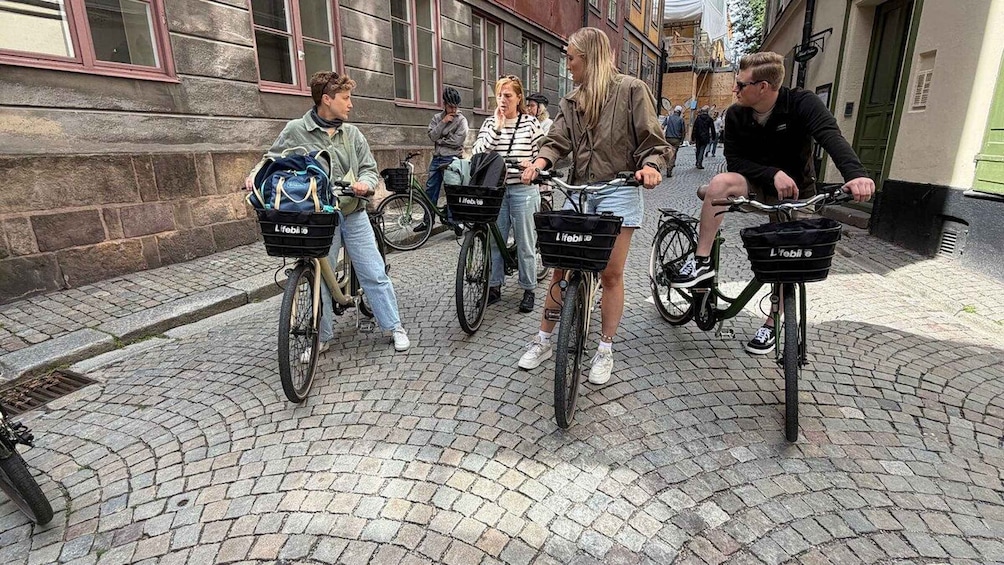 Picture 7 for Activity Stockholm: E-Bike City Tour 4