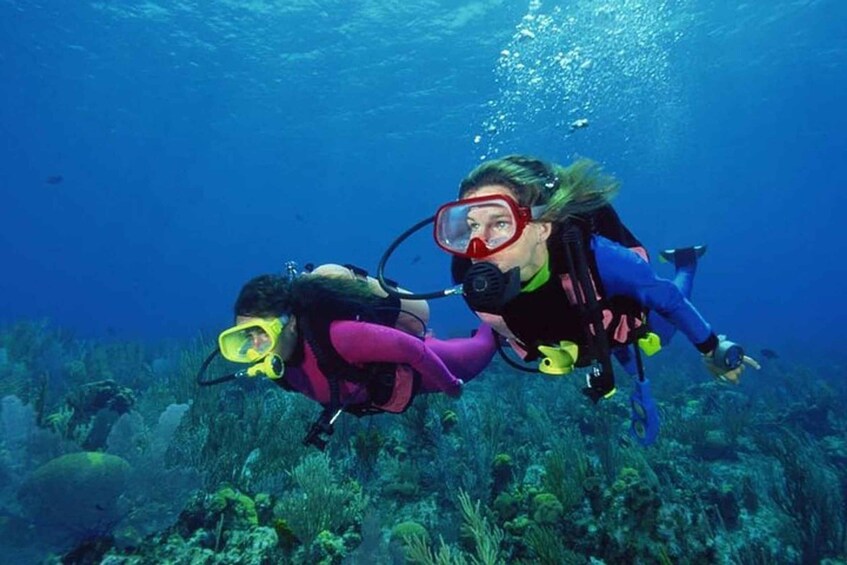 Two scuba divers underwater with coral reefs and marine life in the background. 5