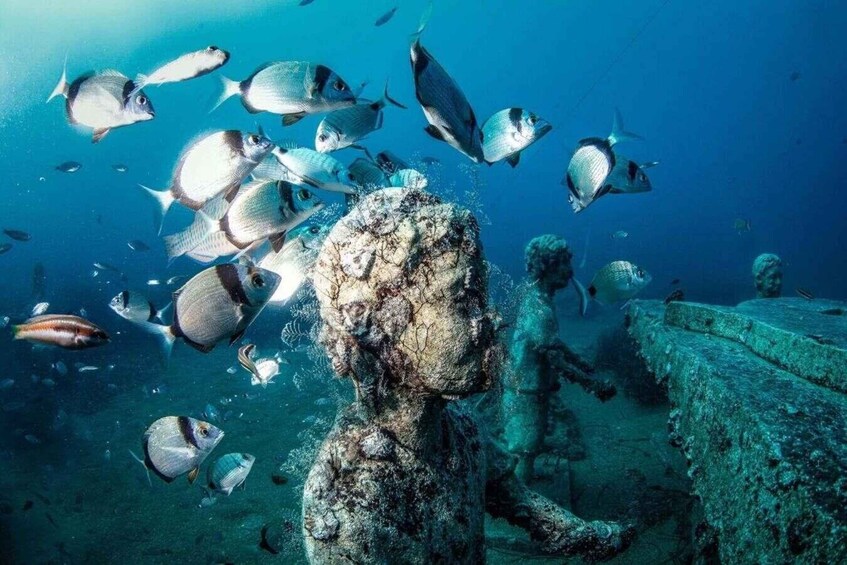 Picture 9 for Activity Side: Underwater Museum Scuba Diving Tour with Expert Diving 2