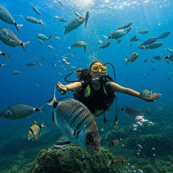 Picture 5 for Activity Side: Underwater Museum Scuba Diving Tour with Expert Diving 4