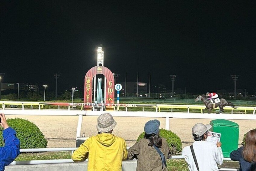 A horse race at night with spectators watching from the stands. 4