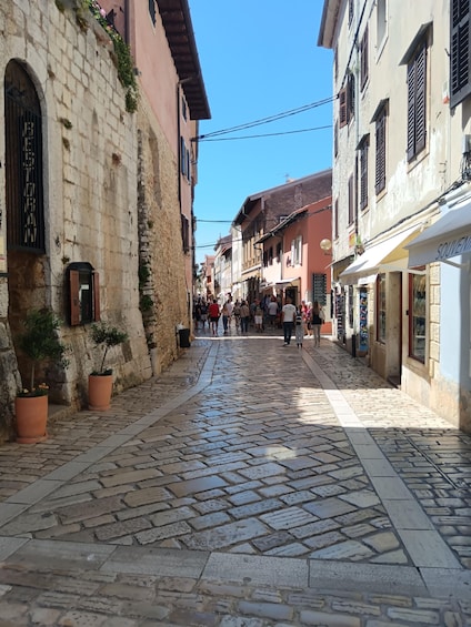A cobblestone street lined with historic buildings, potted plants, and a clear blue sky. 1