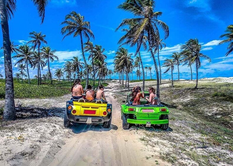 Two vehicles on a dirt road with palm trees in the background. 4