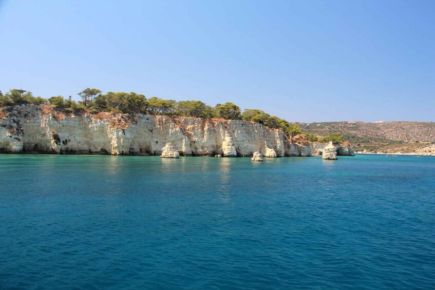 A coastal landscape with white cliffs, clear blue sea, and sparse vegetation. 3