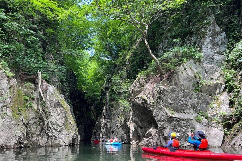 A narrow canyon with rocky walls and a river. 4