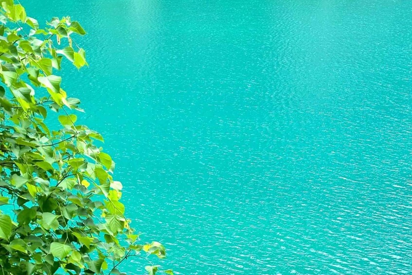 Picture 2 for Activity Chengdu: Jiuzhaigou Day Tour via High-Speed Rail 3