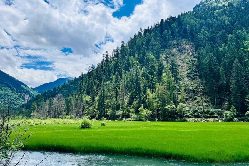 Picture 1 for Activity Chengdu: Jiuzhaigou Day Tour via High-Speed Rail 4