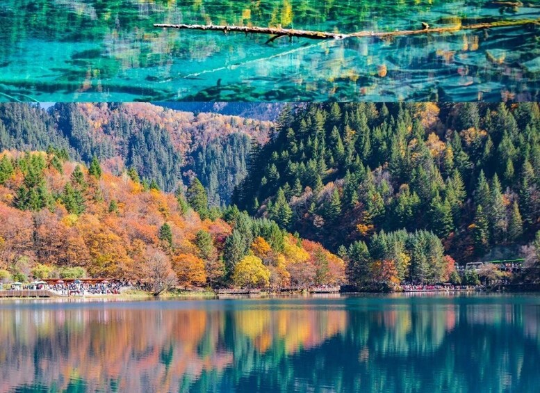 Picture 5 for Activity Chengdu: Jiuzhaigou Day Tour via High-Speed Rail 2