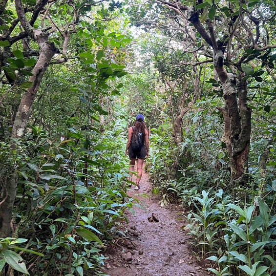 Picture 1 for Activity Mauritius: Le Pouce Mountain Hike & Hidden Waterfall Visit 3